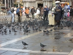 Venice_065