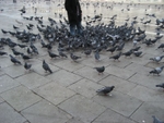 Venice_067