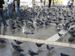 Venice_068