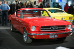 WEB-0607.jpg
