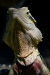 WEB-5285.jpg