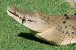 WEB-5349.jpg