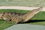 WEB-5371.jpg