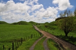 New Zealand
