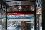 WEB-8607.jpg