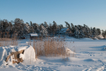 Winter 2010