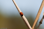 WEB-0230.jpg