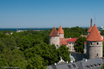 Tallinn Old Town