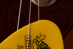 WEB-0546.jpg