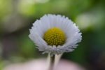 WEB-2924