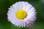 WEB-2927