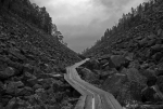 DSC_2105-BW-1