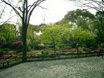 Garden010