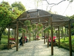 Garden011