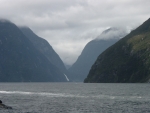 Fiordland