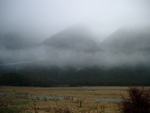Fiordland030