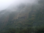 Fiordland034